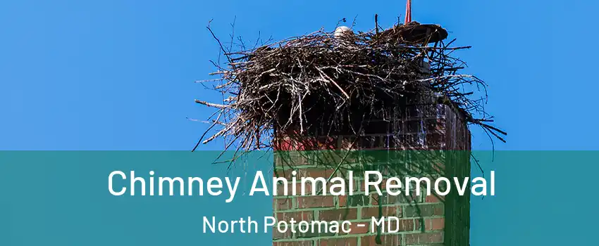 Chimney Animal Removal North Potomac - MD
