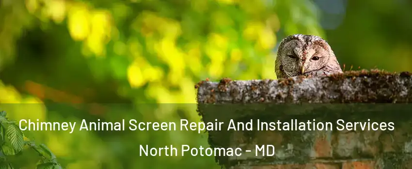  Chimney Animal Screen Repair And Installation Services North Potomac - MD