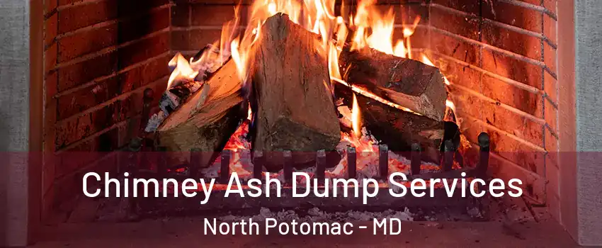  Chimney Ash Dump Services North Potomac - MD