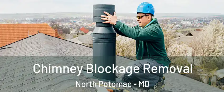 Chimney Blockage Removal North Potomac - MD