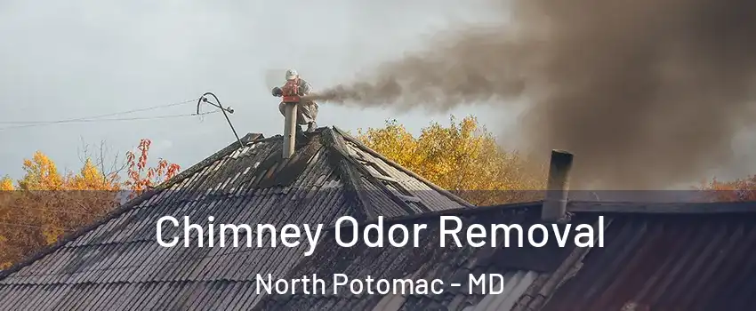  Chimney Odor Removal North Potomac - MD