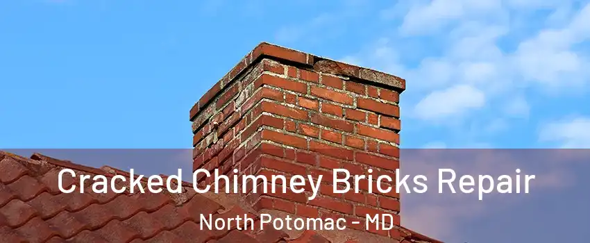  Cracked Chimney Bricks Repair North Potomac - MD