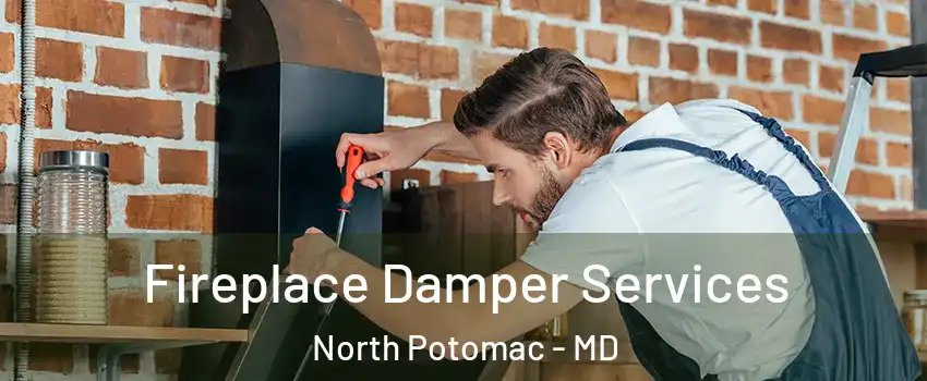  Fireplace Damper Services North Potomac - MD