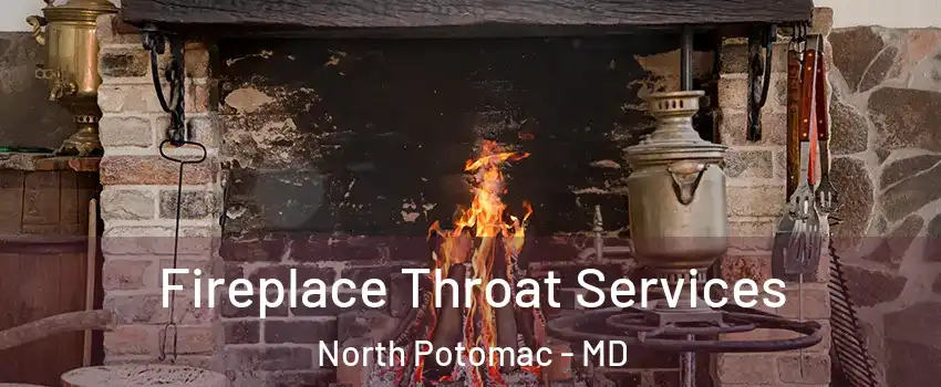  Fireplace Throat Services North Potomac - MD