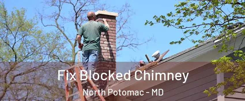  Fix Blocked Chimney North Potomac - MD