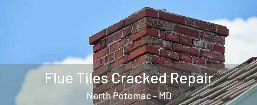  Flue Tiles Cracked Repair North Potomac - MD