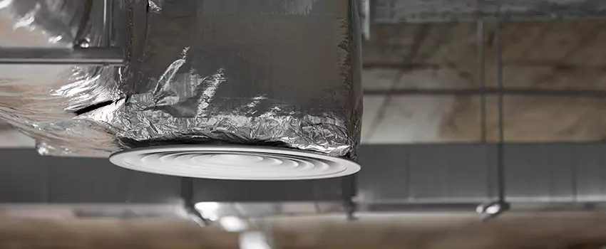 Signs of Dust Accumulation in Vents in North Potomac, MD