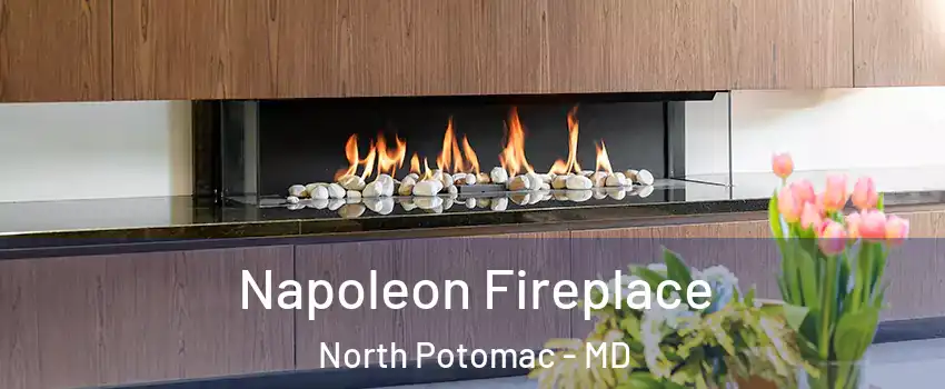  Napoleon Fireplace North Potomac - MD