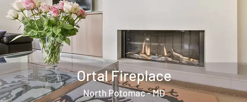 Ortal Fireplace North Potomac - MD